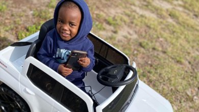 Photo of Heartbreaking: Missing 2-Year-Old Boy Found Dead in Alligator’s Mouth, Father Charged with Murder