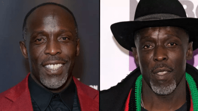 Photo of Drug Dealer Pleads Guilty To Selling Dose That Killed Michael K. Williams