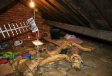 Photo of Woman Finds Ex-Boyfriend Living in Her Ceiling 12 Years After They Broke Up