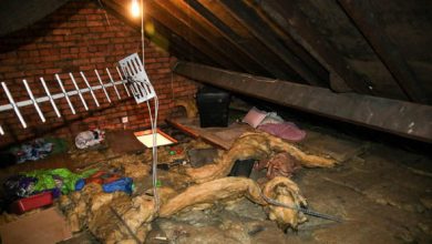 Photo of Woman Finds Ex-Boyfriend Living in Her Ceiling 12 Years After They Broke Up